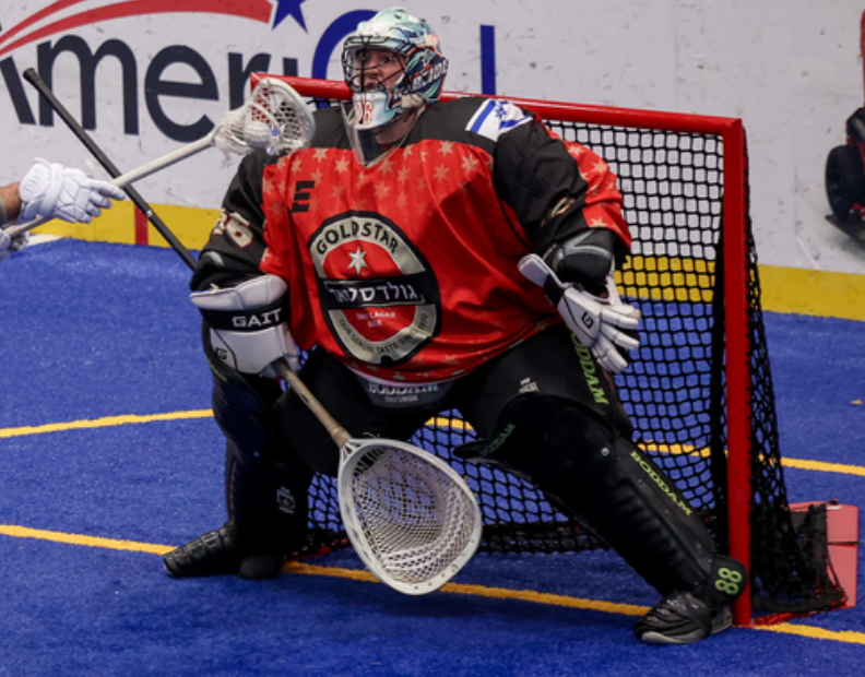 What is Box Lacrosse? | Lacrosseballstore
