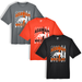 Agawam Wrestling